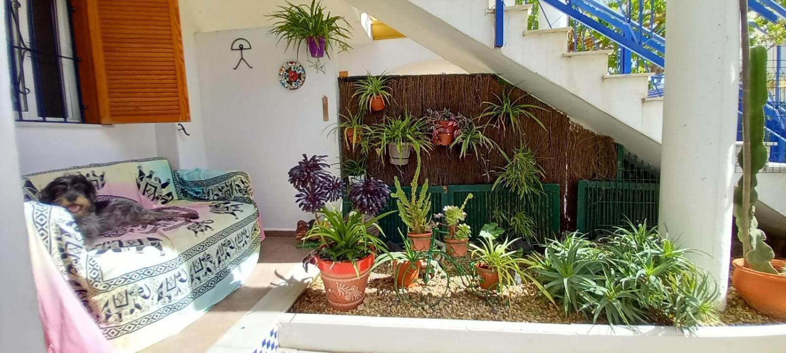 Casa Chiki Διαμέρισμα Vera Εξωτερικό φωτογραφία